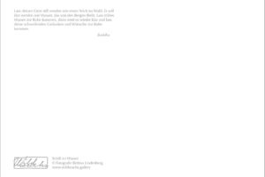 Wildwuchs_Lindenberg_SchilfWasserText