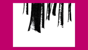 Postkarte Wildwuchs Fotokunst von bettina Lindenberg Bäume im Schnee